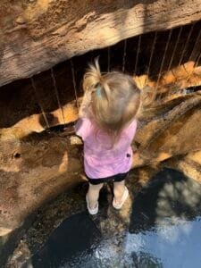 A toddler girl with blonde pigtails, wearing a pink shirt, interacts with water features at the Journey of Water, Inspired by Moana experience at Epcot, Walt Disney World.