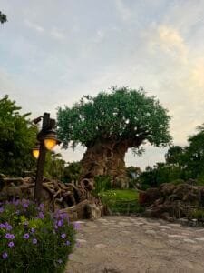 The Tree of Life at Disney’s Animal Kingdom, surrounded by lush greenery and flowers, with a peaceful pathway in the foreground.